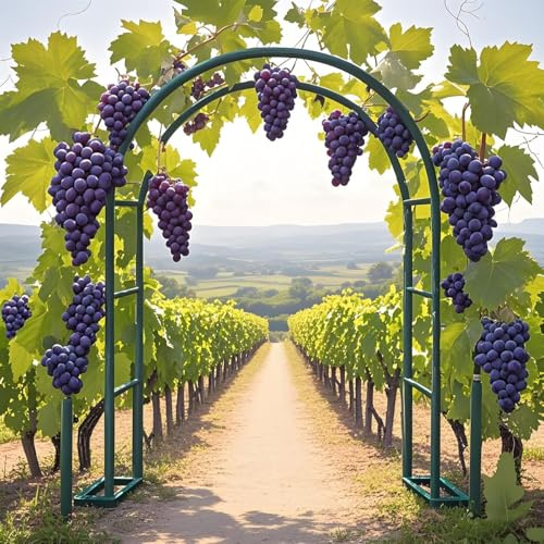 Arco da Giardino per Rose Piante Rampicanti, Supporto in Ferro Graticcio, 140 200 230 240cm Garden Pergola Traliccio Metallo per Decorazioni Nozze Esterni E Interni, Orto, Prato(Green,W2.0 x H2.30m)