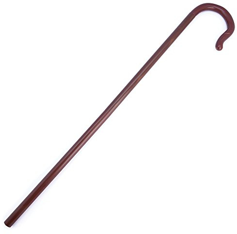 Bristol Novelty BA1604 - Bastone da passeggio per bambini, accessorio marrone, taglia unica, Giornata mondiale del libro