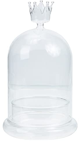 HOMSFOU Glasglocke Glashaube Glassturz mit Sockel Krone Lampenschirm Rose Pflanzen Glaskuppel mit Glas Kuchenglocke Sukkulenten Miniatur Lichterkette Glocke Wohnzimmer Tischdeko Eingangstür Deko