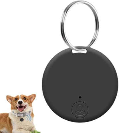 Mini GPS-tagg, GPS-spårningsnyckel tagg objektspårare, tvåvägs larmpåminnelse, rund realtidsspårning för hund, katt för plånböcker husdjur barnsökare