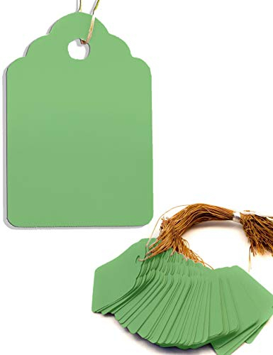 HOMETOOLS Lot de 100 pendentifs pour plantes avec ficelle, résistants aux intempéries, plastique, 3,5 x 2,5 cm, vert