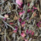 Rose Grüner Tee Naturideen® 100g