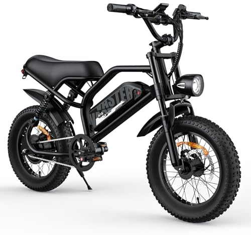 AVDLEU Velo Electrique Homme 16x3.0 Batterie 36V Double Suspension VAE Noir
