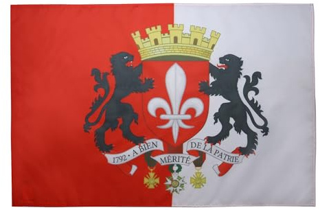 AZ FLAG - Drapeau Lille avec armes - 90x60 cm - Drapeau Lillois Avec Armoiries 100% Polyester Avec Fourreau et Cordelette - Pavillon 50 g