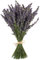 TooGet Natürliche Lavendel Bündel, Frisch Geerntete 200 Stämme Getrockneter Lavendel Bouquets 40-45cm Lang, Dekorative Blumenstrauß Für Wohnkultur, Kunsthandwerk, Hochzeit Oder Jede Gelegenheit