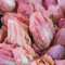 PREMIER SEEDS DIRECT - CHICORY SEEDS - PINK -3 GRAMS