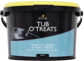 Lincoln Equestrian Tub O Treats 2.5Kg