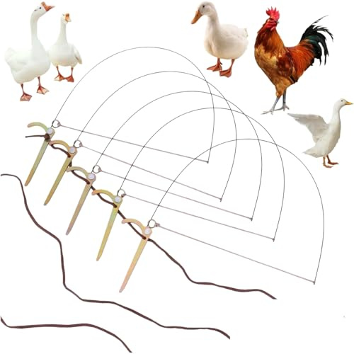 Trampa Profesional para pájaros para Pollos, faisanes, Patos Salvajes, Perdiz, Mallard, Atar los pies de los pájaros no los lastimarán (Paquete de 10)