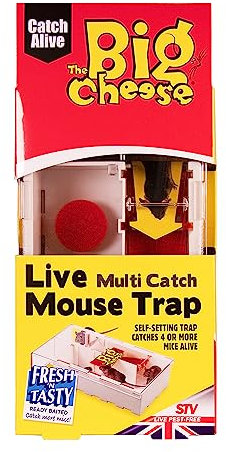 The Big Cheese Live Multi-Catch Mouse Trap, Humane, Baited and Ready-To-Use, Catches 4 Mice to Release, Self-Setting, Plastic, Indoor and Outdoor Use