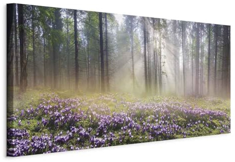murando - Quadro Fonoassorbente Prato Viola Paesaggio 120x60 cm 1 Pezzo - Canvas con Struttura - Quadri Acustici XXL Grandi - Pannelli Fonoassorbenti Decorativi per Soggiorno c-B-0373-b-a