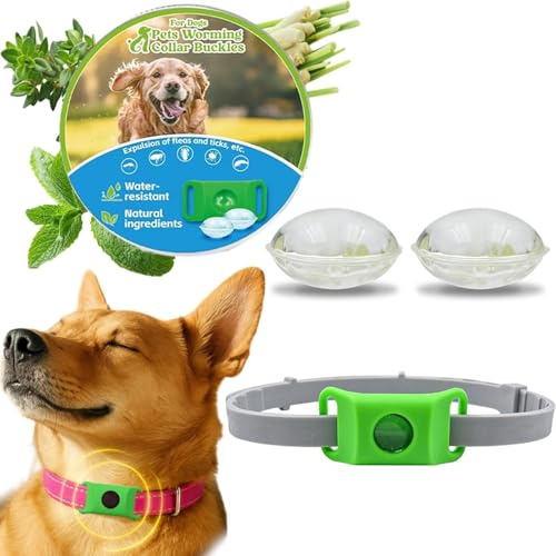 Aquality Pets Collare Antiparassitario Naturale,Collare Antiparassitario Naturale Per Cani – Ciondolo Impermeabile Per Collare Con 2 Ricariche Extra, Verde, Sicura Per Tutte Le Razze (1 PCS)