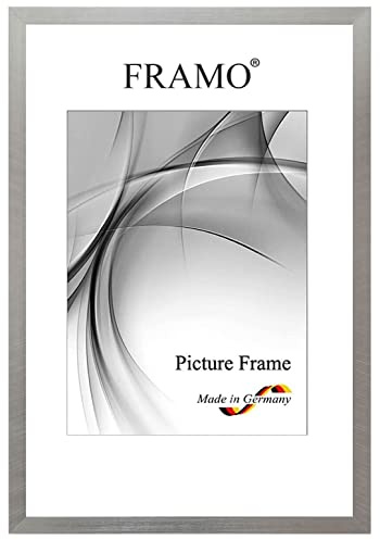 FRAMO Cornice foto 33 x 48 cm in legno massello | Grigio argentoo | Colore/dimensione selezionabile | cornici per manifesti | Puzzle | Poster | N°053