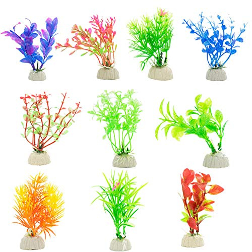 Digiflex 10 x Piante Miste per Acquario