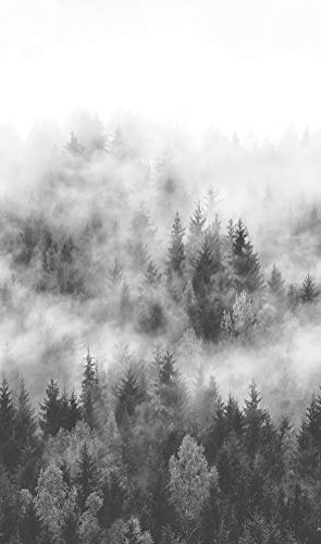 Fototapete Grau, Weiß - Vlies, Wald, Bäume, Tannen, Nebel - für Schlafzimmer, Wohnzimmer, Küche - Made in Germany - Neu - 2,70m x 1,59m - 47268