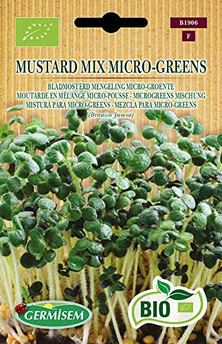 Germisem Bio Mustard Mix Micro-Greens Graines 10 g ECBIO1906 Multicolore