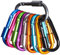Pack of 10 Carabiner Clip, Caribeana Clips with Screw Lock Aluminium Carabiner Clip Large for Backpack Camping Hiking Fishing Traveling (10 Colours)