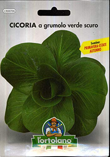 Sementi orticole di qualità l'ortolano in busta termosaldata (160 varietà) (CICORIA A GRUMOLO VERDE SCURO)