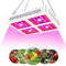 Lampe de croissance, double réflecteurs COB, Lampe de Plante à spectre complet avec fonction de guirlande pour plantes de serre hydroponiques, légumes et fleurs