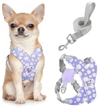 Pawaboo Imbracatura di Sicurezza per Cani, Pettorina e Guinzaglio con Gancio Metallico, Traspirante e Senza Tirare, S, Margherita Viola