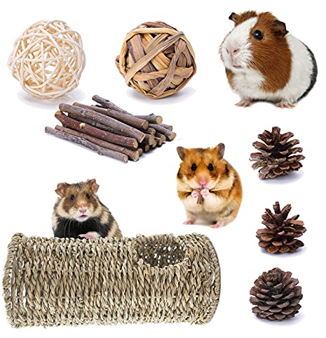 LLGLEU 7 Stück Hamster Seegras Tunnels 19,5x10cm Natürliche Grasbälle Kaubälle Kiefernzapfen Apfel-Sticks Kleintiere Spielzeug Trainingsröhren für Hamster Rennmäuse Chinchillas