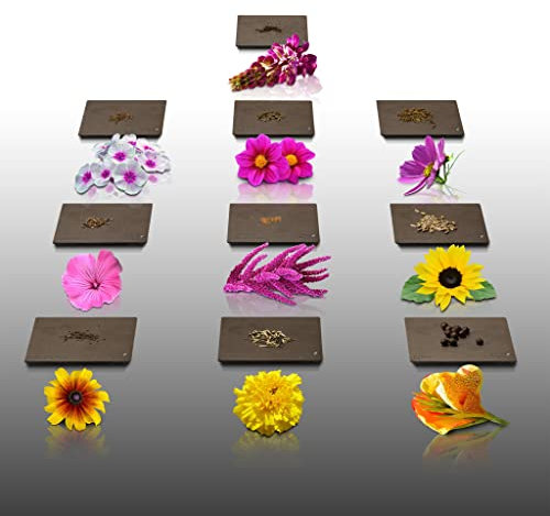 Lot de 750 graines de Fleurs à semer - Le Grenier d'Abondance - Annuelles et Vivaces pour Massif - 10 sachets individuels.