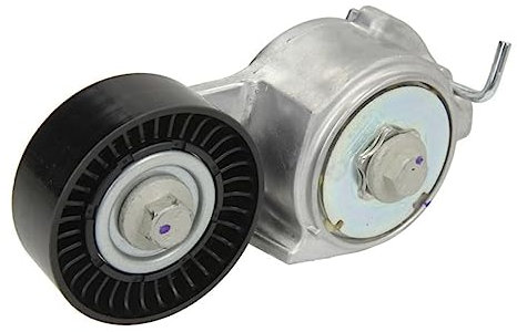 Ina 534006910 Tensionatori