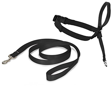 PetSafe Easy Walk Kopfhalfter, Aus widerstandsfähigem und weichem Nylon, Leichtes An- und Ausziehen, Größe L, Schwarz