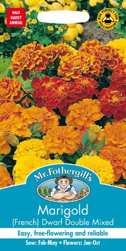 Mr Fothergills - Pictorial Packet - Flower - Marigold (French) Dwarf Double Mixed - 150 Seeds