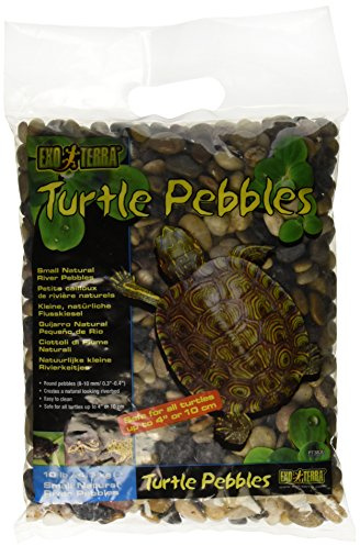 Exo Terra Turtle Pebbles sköldpadda, 4,5 kg