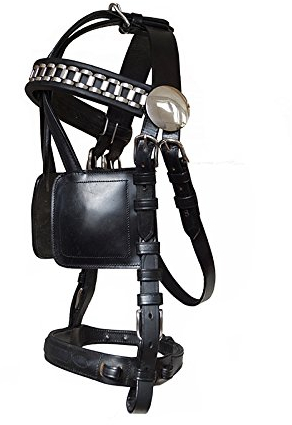 Riding Fahrzaum Basic mit Scheuklappen Pony