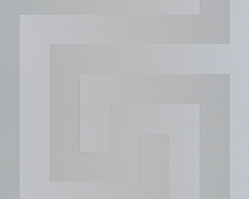A.S. Création Plain Wallpaper Versace 3 Non-Woven Wallpaper 10.05 m x 0.70 m Silver Made in Germany 935235 93523-5