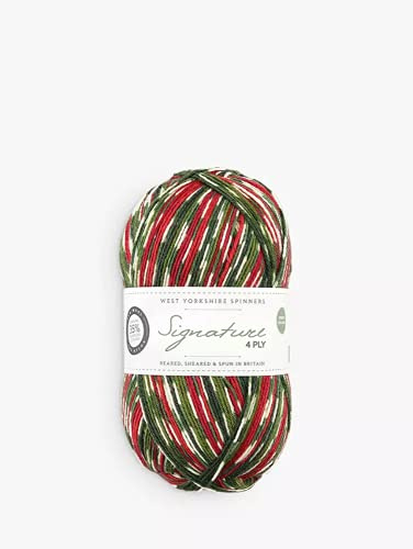 WYS Signature 4 ply Christmas Knitting Wool Yarn 100g - 886 Hollyberry
