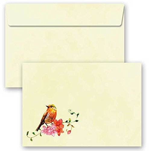 Motiv-Briefumschläge 25 Stück C6 (162x114 mm) ohne Fenster VOGELGEZWITSCHER, Selbstklebend mit Abziehstreifen