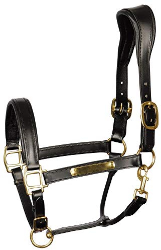 Lederhalfter, Anatomic