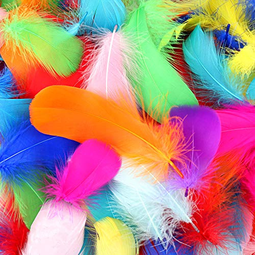 HaiMay 600 Pieces Colorful Feathers for Craft Wedding Home Party Decorations, 3-5 Inches 10 Colors Craft Feathers