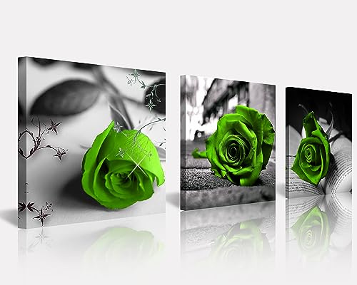 NAN Wind Canvas Print 3 Pcs Black and White Green Rose Canvas Art Abstract Wall Art Decorations Flower Picture on Canvas for Home Decor Valentines Gift Stretched And Framed 12X12inches