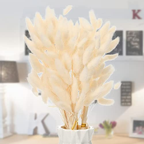 Snowtain 50 pcs Fiori Coda di Coniglio Natural Fiori Secchi Decorativi Erba della Pampas Decorative Erba Della Pampas Fiori Secchi Coda Coniglio Essiccata Mazzi Erba per Matrimonio (40cm Bianco)