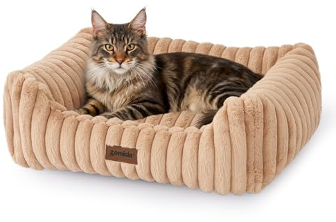 ZOMISIA Large Cat Beds - Orthopedic Dog Bed for Medium Dogs, Rectangle Pet Bed with Fluffy Removable Washable Cover, 25x21x9inches, Beige