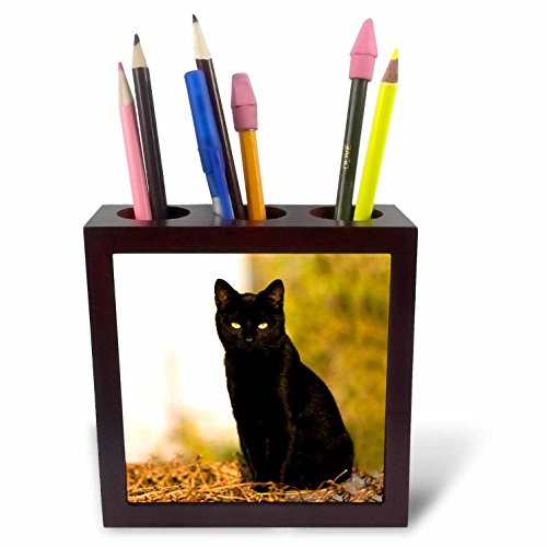 3drose Black Cat Pen Holder Image Tile, 5-Inch
