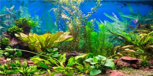 76 x 46 cm akvarium bakgrund vattenväxt flodsäng och sjö fisk tank dekor | Grön fisk tank bakgrund reptil livsmiljö terrarium dekoration vinyl tyg tyg tyg inte klistermärke