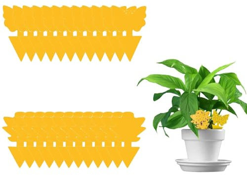 AMZFUK Pack 24 Yellow Sticky Traps Fungus : 60x Sticky Fly Trap For Indoor Plant – Yellow Sticky Fly Traps – Fungus Killer – Fruit Fly Trap, Non-Toxic, Waterproof