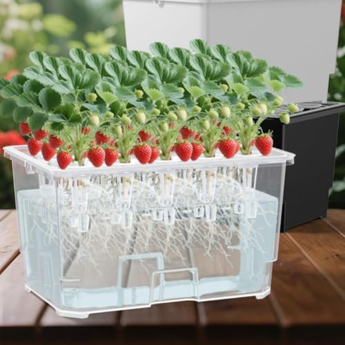SMZhomeone Caja de plantación acuática con 15 agujeros para cultivo interior sin tierra, cesta de plástico transparente para el hogar, jardín, alféizar de ventana o encimera para el cuidado de plantas