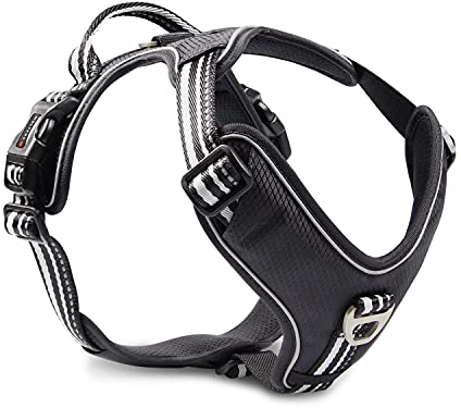 Wolters Geschirr Active Pro, Größe:60-75 cm, Farbe:schwarz/schwarz