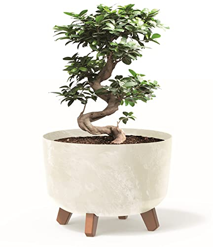 botle Pot de fleurs avec pieds - En plastique crémeux - 29 cm - Avec insert - Aspect béton - Pour arbre d'argent - Cactus - Arbre en caoutchouc