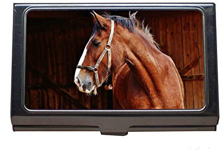 Professioneller Visitenkarten-Etui, Tierstallpferd, Kartenhalter aus Edelstahl