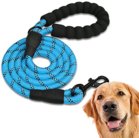 EDIPETS, Laisse Chien, Laisse de Dressage pour Chien, Rembourrée, Poignée Souple, Corde pour Chiots et Petits, Moyens et Grands Chiens, 1,2 et 1,5 mètres. (1.2 M, Bleu)