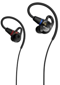 Sony IER-M500 Auriculares IEM Hi-Res con Aislamiento de Ruido Negro