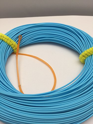 BestCity Fly Fishing Line INTERMEDIATE WEIGHT FORWARD SKY BLUE line 100 feet with braided loops WF6