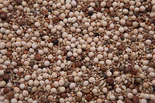 No Corn Flyer Pigeon Mix (16%) 20 lbs