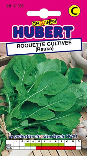 Graines de Roquette Cultivée - 3 grammes